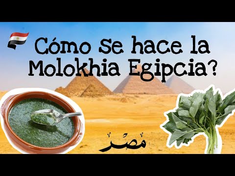 Receta de Molokhia: cómo preparar este delicioso plato egipcio